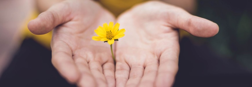 hands offering flower
